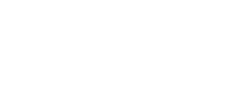 Green Ferns Florist