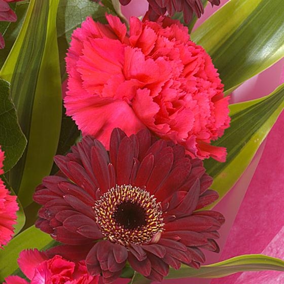 Garnet Birthstone Bouquet (January)