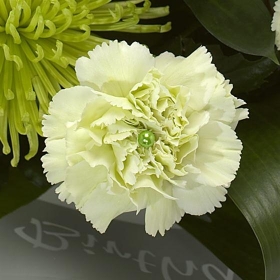 Emerald Birthstone Bouquet (May)