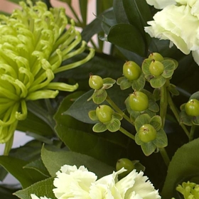 Emerald Birthstone Bouquet (May)