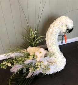 Swan tribute